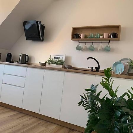 Apartament Szepty MANSARDY Stary Toruń Zewnętrze zdjęcie