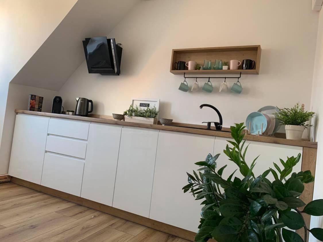 Apartament Szepty MANSARDY Stary Toruń Zewnętrze zdjęcie