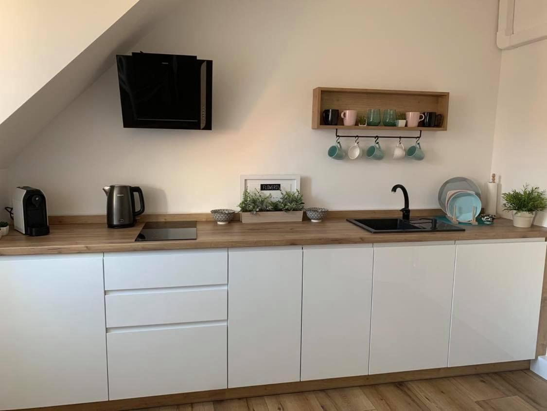 Apartament Szepty MANSARDY Stary Toruń Zewnętrze zdjęcie